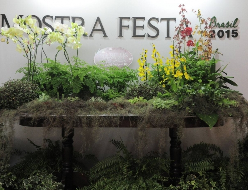 Mostra Festa – 2015